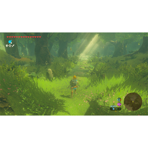 任天堂 ゼルダの伝説 ブレス オブ ザ ワイルド Nintendo Switch 2 Edition【Switch 2】 NXSPAAAAH-イメージ10