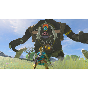 任天堂 ゼルダの伝説 ブレス オブ ザ ワイルド Nintendo Switch 2 Edition【Switch 2】 NXSPAAAAH-イメージ5