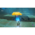 任天堂 ゼルダの伝説 ブレス オブ ザ ワイルド Nintendo Switch 2 Edition【Switch 2】 NXSPAAAAH-イメージ8