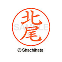 シヤチハタ ネームペン用ネーム シルバー 既製 北尾 FC46669-X-GPS-0898