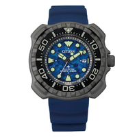 シチズン エコ・ドライブ腕時計 プロマスター MARINEシリーズ ダイバー200m ブルーカモフラージュ BN0227-09L