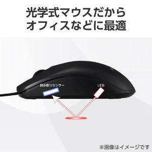 エレコム USB Type-C(TM)有線光学式マウス[3ボタン/Lサイズ] ブラック M-LE10URCBK-イメージ6