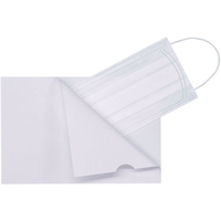 金鵄製作所 薬袋メーカーが作ったマスクケース L型kinshi 1000枚 FCG772D-25-7235-03