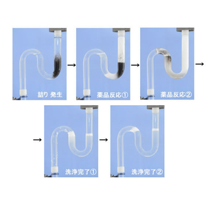 和協産業 ピーピースルーF 600g FCK892D-305487-イメージ2