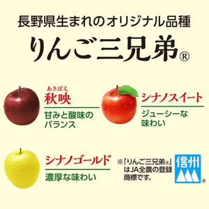 伊藤園 ニッポンエール 長野県産りんご三兄弟 400g 24本 FCK702D-イメージ2