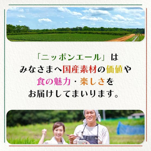 伊藤園 ニッポンエール 長野県産りんご三兄弟 400g 24本 FCK702D-イメージ4
