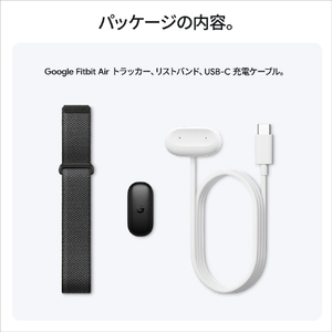 Fitbit Google Fitbit Air GA09509-AU Obsidian バンド / Matte Black ステンレス バックル GA09509-AU-イメージ10
