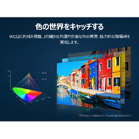 TCL 75C69K 75V型4Kチューナー内蔵4K対応液晶テレビ e angle select