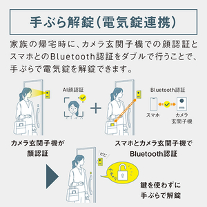 パナソニック ワイヤレスモニター付テレビドアホン VL-X70AHF-イメージ9
