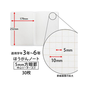 キョクトウ カレッジほうがんノート B5 5mm サル F010225-LT01LY-イメージ4