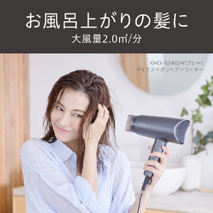 コイズミ マイナスイオンヘアドライヤー グレー KHD-9240/H-イメージ19