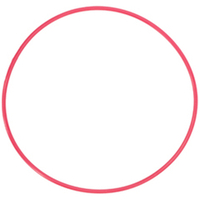 オリンパス 防水プロテクターPT-EP03用Oリング POL-EP03