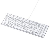サンワサプライ USBスリムキーボード ホワイト SKB-SL17WN