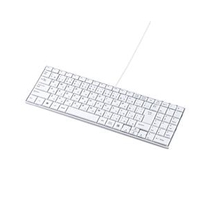 サンワサプライ USBスリムキーボード ホワイト SKB-SL17WN サンワサプライ USBスリムキーボード ホワイト SKB-SL17WN