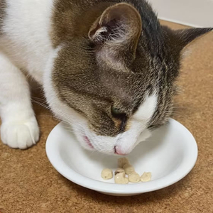 ペティオ 素材そのまま ねこちゃんの完全無添加 やわらか鶏つくね シーフードミックス 40g FCK216E-イメージ5