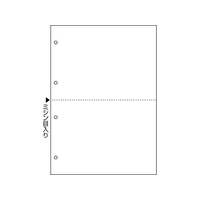 ヒサゴ マルチプリンタ帳票複写 A4白紙2面4穴1200 FC050NT-FSCF2003Z