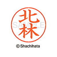 シヤチハタ ネームペン用ネーム シルバー 既製 北林 FC46679-X-GPS-0908
