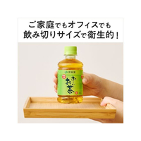 伊藤園 F721673 お～いお茶 緑茶 280mL×24本 |エディオン公式通販