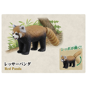 タカラトミー アニア10周年記念メモリアルセット ｱﾆｱ10THｷﾈﾝﾒﾓﾘｱﾙｾﾂﾄ-イメージ5