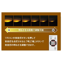 東芝 NLEH06018E-SDLD LEDシーリングライト スピーカー付き