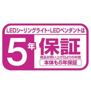 東芝 LEDシーリングライト スピーカー付き NLEH06018E-SDLD-イメージ11