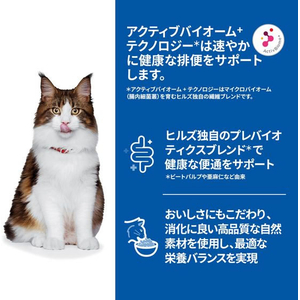 日本ヒルズ・コルゲート サイエンス・ダイエット 猫用 腸の健康サポートプラス チキン パウチ 85g FCE971X-イメージ2