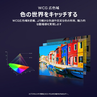 TCL 75P79K 75V型4Kチューナー内蔵4K対応液晶テレビ e angle select