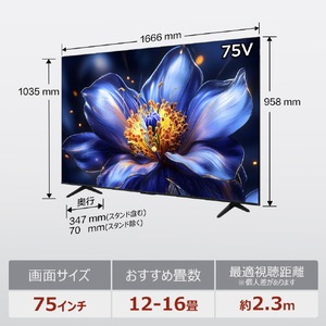 TCL 75V型4Kチューナー内蔵4K対応液晶テレビ e angle select 75P79K-イメージ17