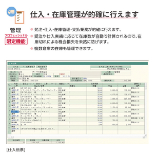 弥生 弥生販売 26 プロフェッショナル 2ユーザー 通常版 WEBﾔﾖｲﾊﾝﾊﾞｲ26ﾌﾟﾛ2UWDL-イメージ4