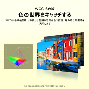 TCL 40V型フルハイビジョン液晶テレビ e angle select 40S59K-イメージ19