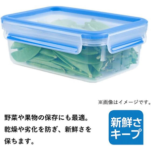 Ｔ－ｆａｌ マスターシール レクタングル 保存容器 800mL FCF842N-N10143-イメージ4