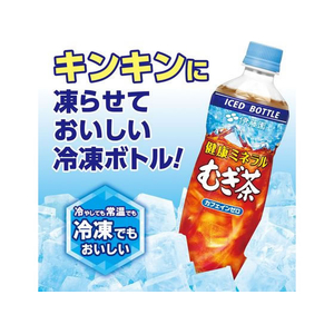 伊藤園 健康ミネラルむぎ茶 冷凍兼用ボトル 485mL FCJ499L-イメージ2