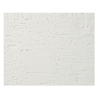 江部松商事 EBM/ブッフェウォーマー雅 1／2サイズ用平長角皿 白涼 FC007LC-1029960