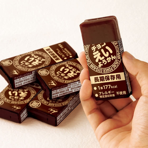 井村屋 チョコえいようかん 56g 5本 FCK220B-イメージ3