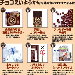 井村屋 チョコえいようかん 56g 5本 FCK220B-イメージ4