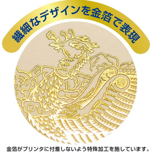 タカ印 金箔賞状用紙 B4判 横書用 白 100枚 FCU7896-10-3171-イメージ3