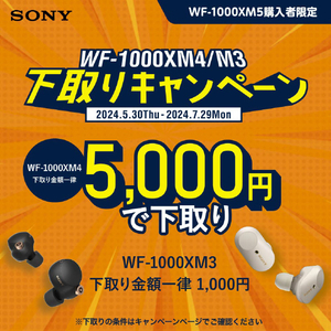SONY ワイヤレスノイズキャンセリングステレオヘッドセット ブラック WF-1000XM5 B-イメージ2