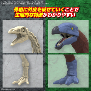 バンダイスピリッツ プラノサウルス テリジノサウルス ﾌﾟﾗﾉｻｳﾙｽ11ﾃﾘｼﾞﾉｻｳﾙｽ-イメージ7