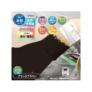 カンペハピオ ハピオセレクト ブラックブラウン 0.7L FCB511M-イメージ2