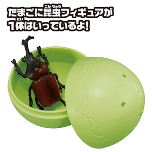 タカラトミー アニアのたまご 昆虫コレクション ｱﾆｱﾉﾀﾏｺﾞｺﾝﾁﾕｳｺﾚｸｼﾖﾝ-イメージ3