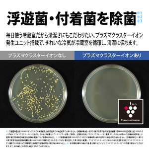 シャープ 502L 6ドア冷蔵庫 プラズマクラスター冷蔵庫 ステンレスシルバー SJSF50PS-イメージ10
