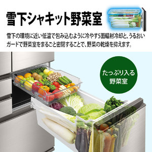シャープ 502L 6ドア冷蔵庫 プラズマクラスター冷蔵庫 ステンレスシルバー SJSF50PS-イメージ12