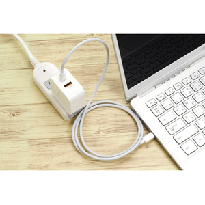 STAR LIGHT USB充電器 窒化ガリウム(GaN) PPS対応 パワーデリバリーPD65W 白 SK-CH1A1CPD65WH-イメージ19