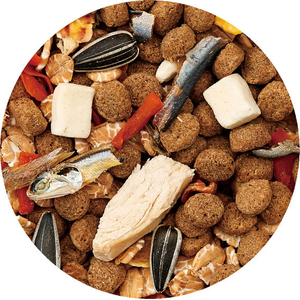 マルカン WellHam ちいさなハムスターの主食 ミックス 贅沢素材添え 210g FCK227E-イメージ2