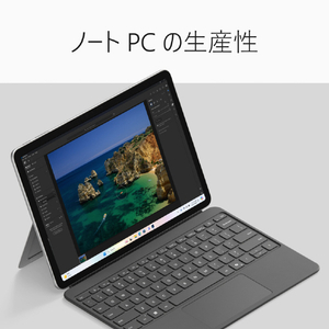 マイクロソフト Surface Pro 12 インチ(第 2 世代) SnapdragonR X2 Plus/16/256 プラチナ EP2-75844-イメージ12