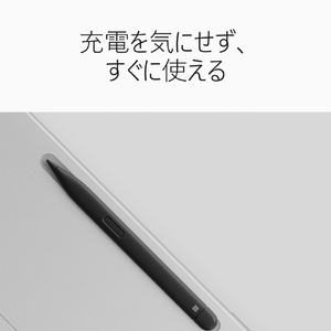 マイクロソフト Surface Pro 12 インチ(第 2 世代) SnapdragonR X2 Plus/16/256 プラチナ EP2-75844-イメージ13