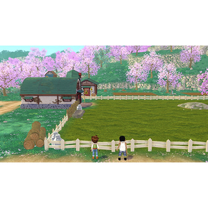 マーベラス 牧場物語 Welcome!ワンダフルライフ【Switch】 HACPA9QCA-イメージ6