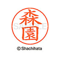 シヤチハタ ネームペン用ネーム シルバー 既製 森園 FC47679-X-GPS-1908