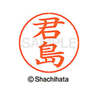 シヤチハタ ネームペン用ネーム シルバー 既製 君島 FC46691-X-GPS-0920
