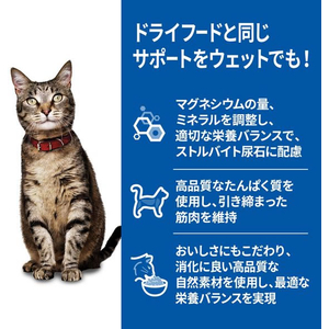 日本ヒルズ・コルゲート サイエンス・ダイエット 猫用 アダルト 1～6歳 チキン パウチ 85g FCE983X-イメージ2